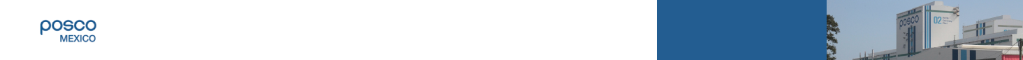 POSCO MEXICO