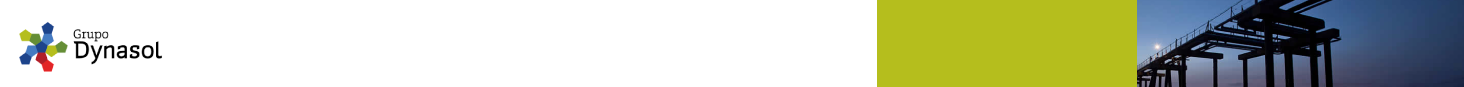 DYNASOL ELASTOMEROS